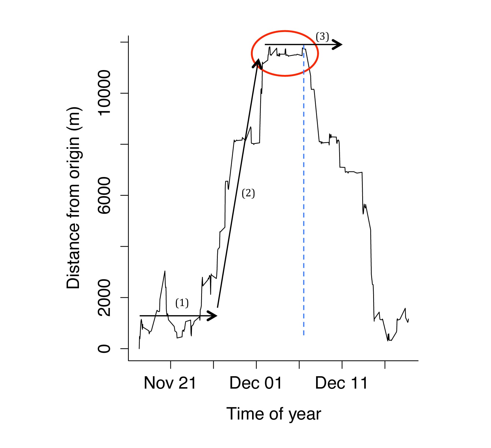 Dispersal event of one female (VLF152) from the five-members dispersing coalition showing a typical migration pattern (see Bunnefeld et al.&nbsp;2011, Börger and Fryxel 2012) as represented by the increasing and subsequent decreasing distance from the site of capture (origin). VLF152 returned home after a 25 km round trip lasting 31 days. The other four coalition members have not returned and possibly established a new territory (red circle), following a typical dispersal pattern (left side of the blue dotted line) characterized by departure (1) roaming (2) and settlement (3).