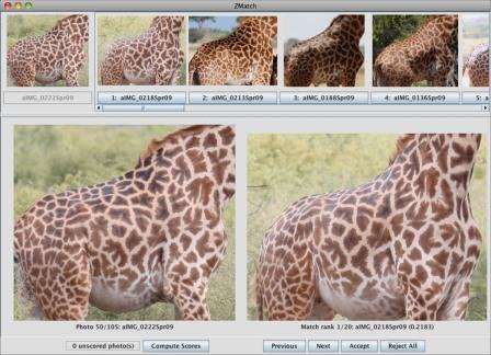 Wild ID pattern-matching computer software