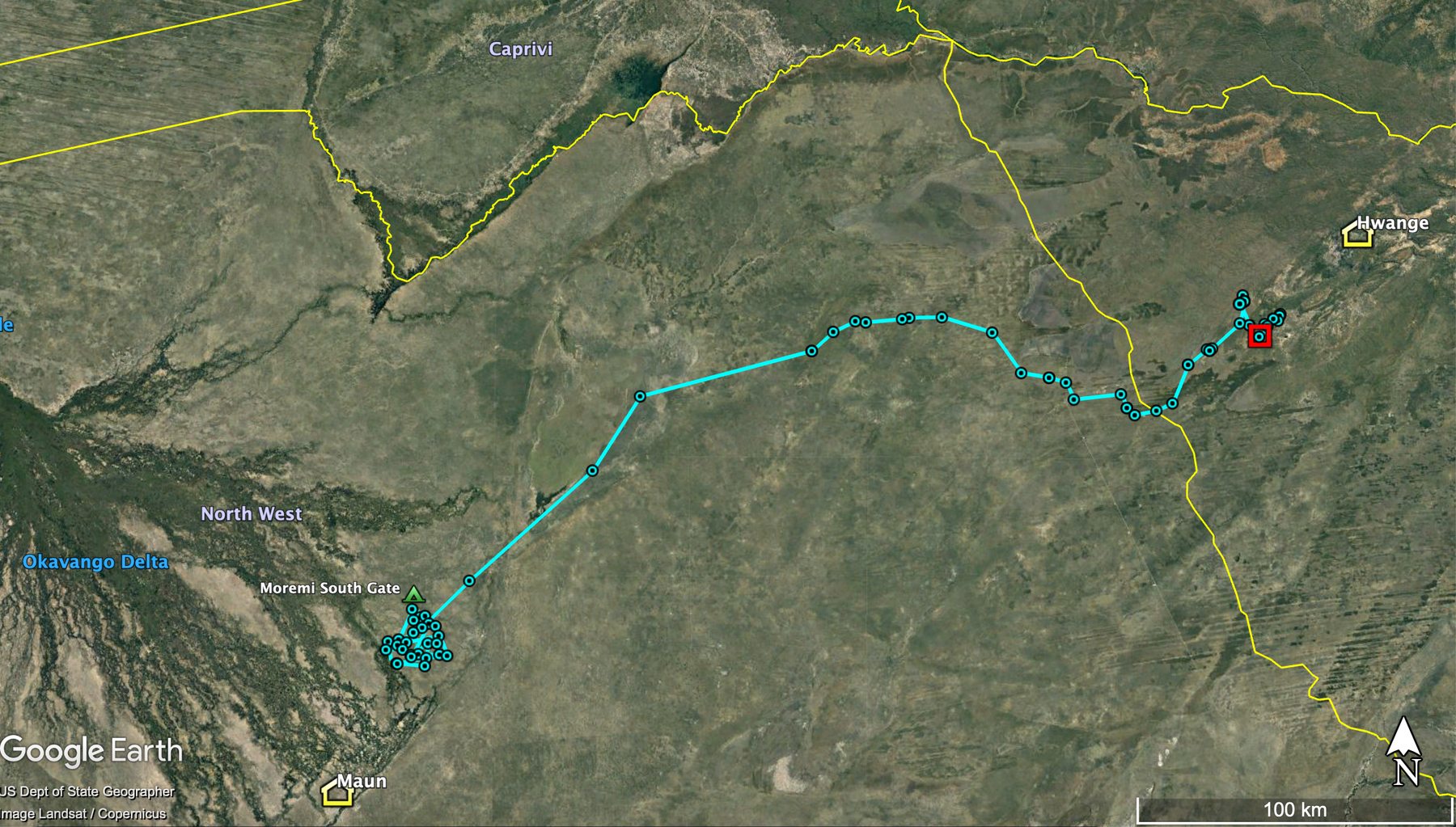 Satellite map of northern Botswana and western Zimbabwe. A blue line runs from the Okavango Delta north-east across the yellow border line to a red square in Hwange National Park.