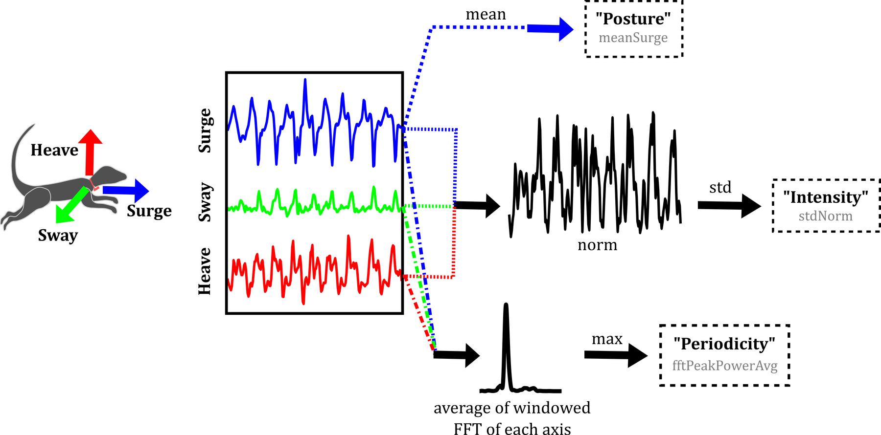 Feature engineering. Three biomechanically meaningful features were engineered from acceleration data – one each to characterise posture, movement intensity, and periodicity.