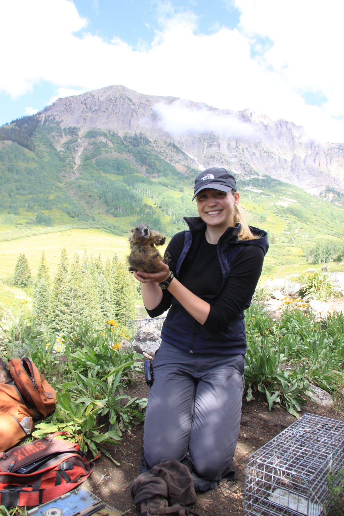 A smiling woman in a cap kneels in a flowery meadow, holding a young marmot in her hands, with a live trap beside her and a mountain behind.
