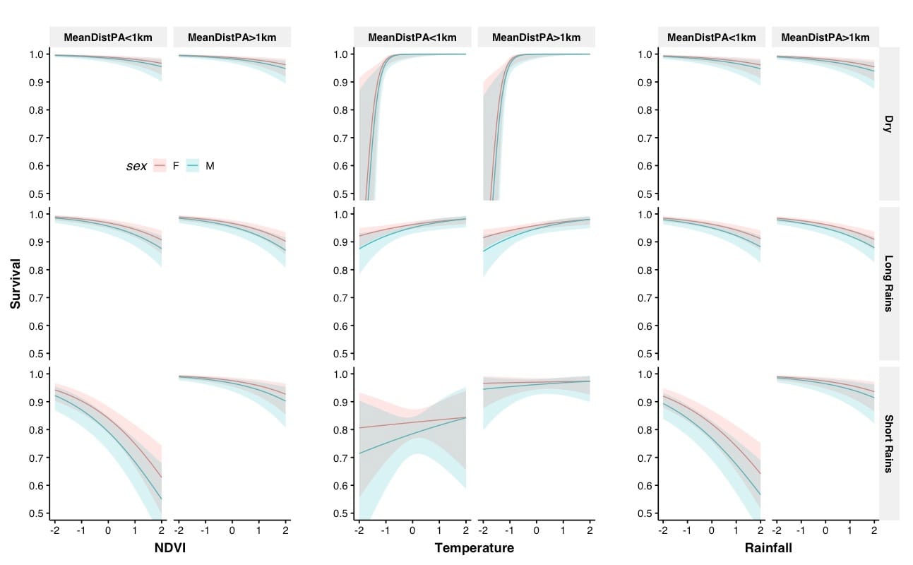 Climate anomaly effects on seasonal survival of adult Masai giraffes in Tarangire Ecosystem, Tanzania 2012‒2019. MeanDistPA is mean distance from the edge of the protected area (km). M = male; F = female.