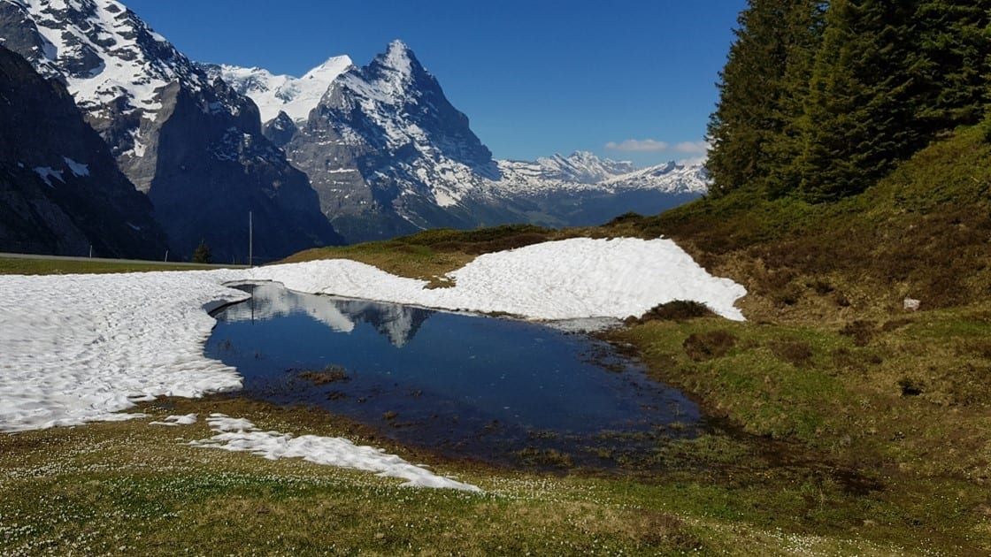 A small pond in an alpine meadow, partly surrounded by melting snow, with snow-covered mountain peaks and a blue sky behind it.