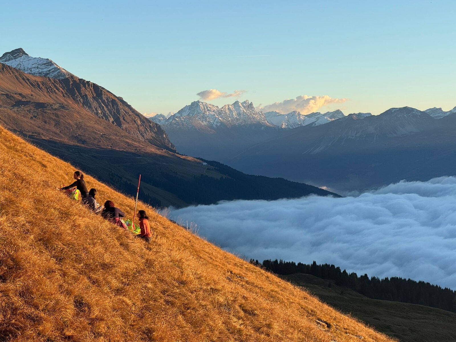 Four people working on a steep golden grass slope at sunset, with snow-capped peaks and a valley filled with fog behind them