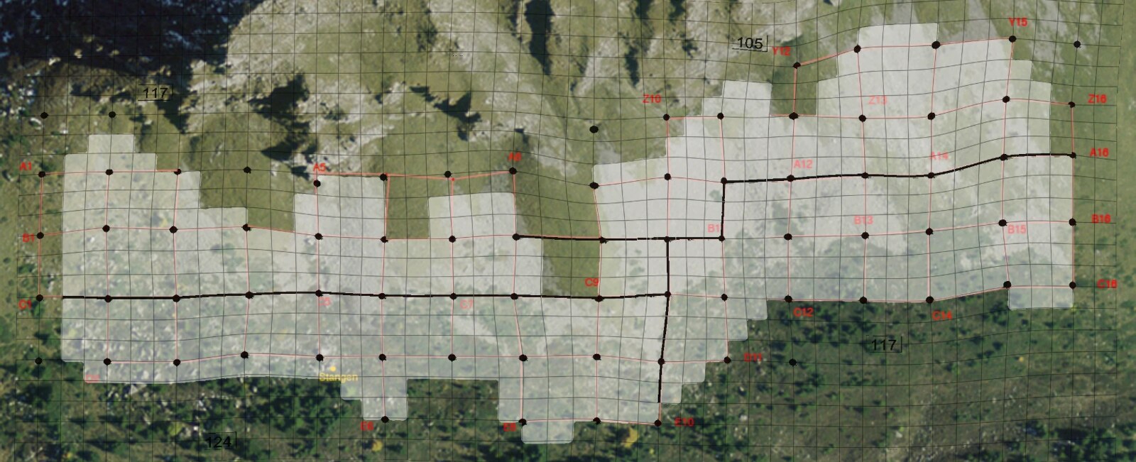 Aerial photo of the study slope overlaid with a grid of trap cells, divided into four sections